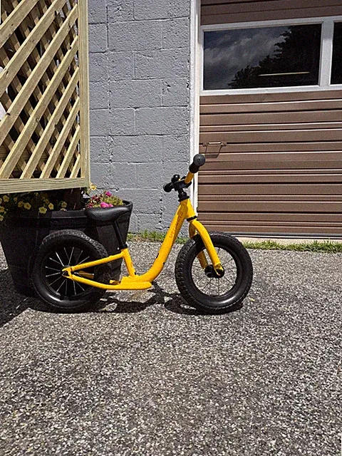 Specialized Hotwalk Bike