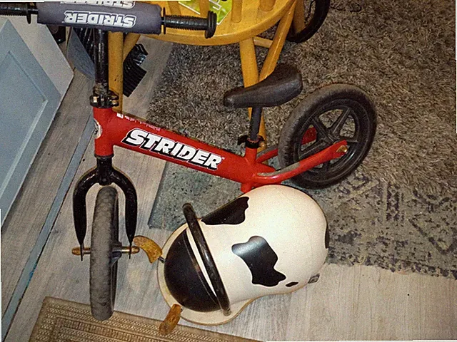 Strider 12" Kids Boys Girls Balance Bike Lightweight Adjustable Red Classic